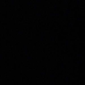 Meet your Posher, Jazmin